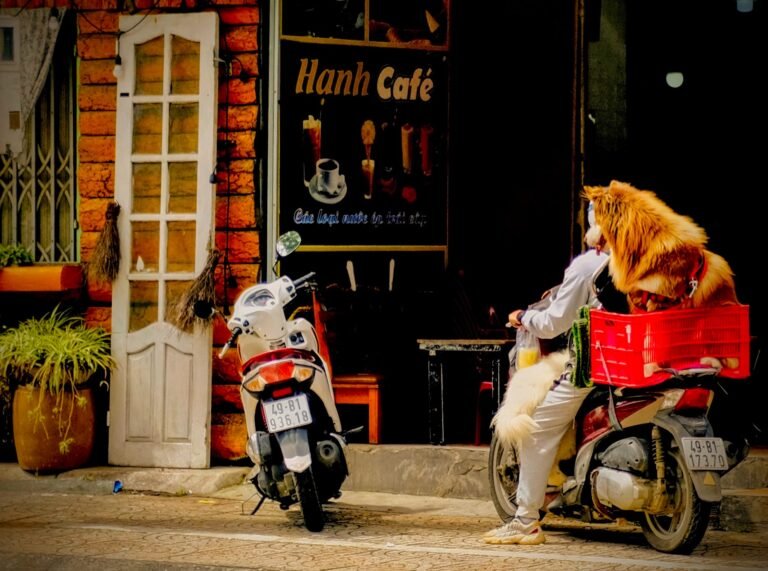 Large fluffy dog riding in a red crate on the back of a motorbike outside a cafe