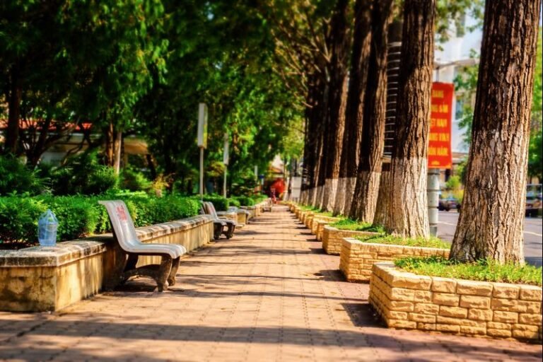 Empty tree-lined park path with benches during Tet in Vietnam
