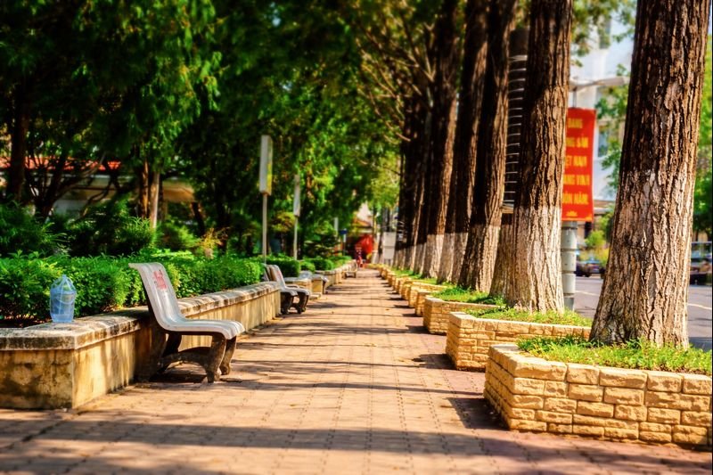 Empty tree-lined park path with benches during Tet in Vietnam