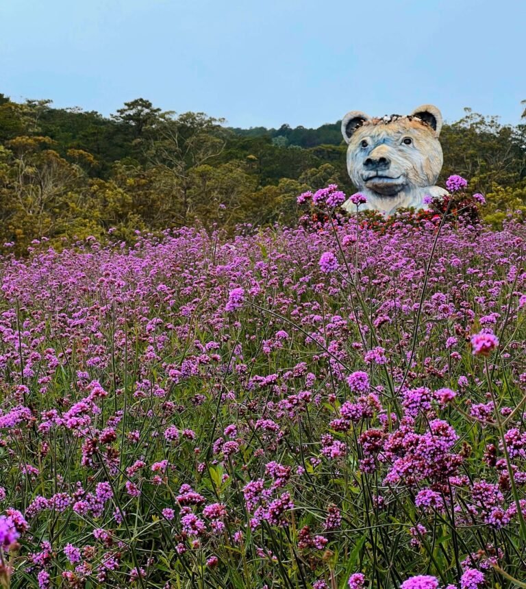 Giant bear statue rising over a field of purple flowers in Da Lat