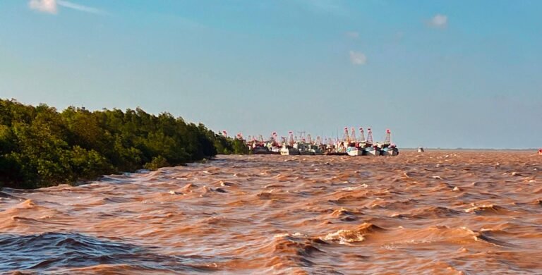 Brown, silt-heavy Mekong Delta water with fishing boats moored near a mangrove shoreline