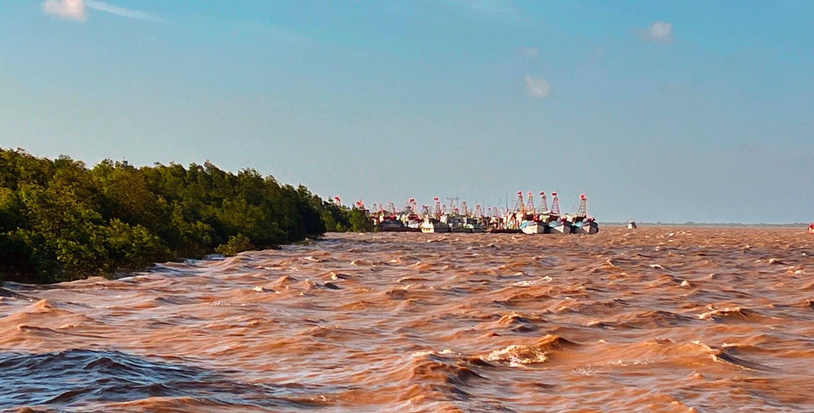 Brown, silt-heavy Mekong Delta water with fishing boats moored near a mangrove shoreline